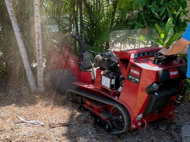 Tracked stump grinding in Cairns